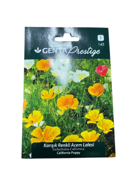 KARIŞIK RENKLİ ACEM LALESİ