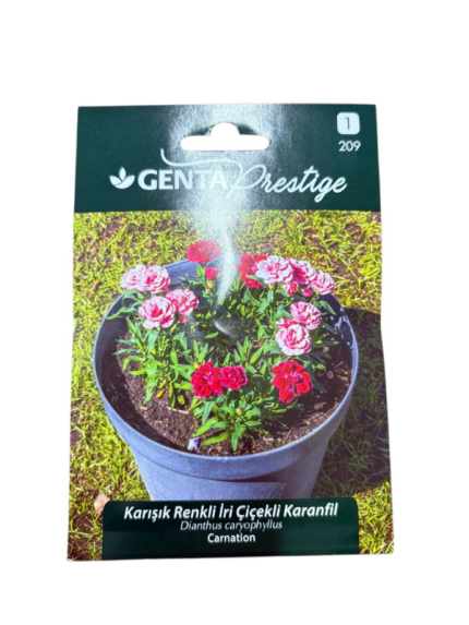 KARIŞIK RENKLİ İRİ ÇİÇEKLİ KARANFİL