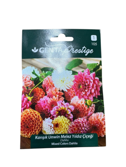 KARIŞIK UNWİN MELEZ YILDIZ ÇİÇEĞİ