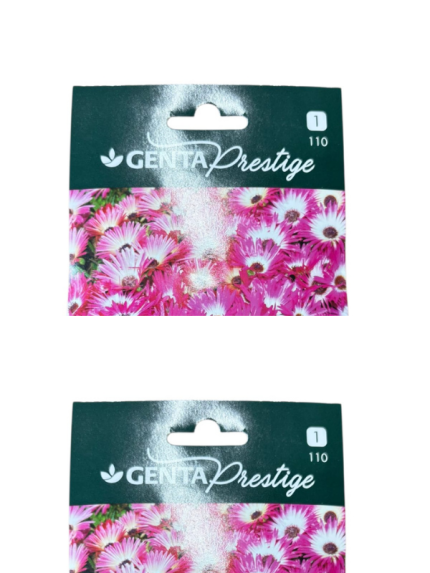 BUZ/MEZEM ÇİÇEĞİ