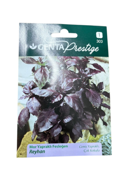 MOR YAPRAKLI FESLEĞEN REYHAN