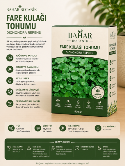 Dichondra repens (fare kulağı) çim tohumu 500 gr