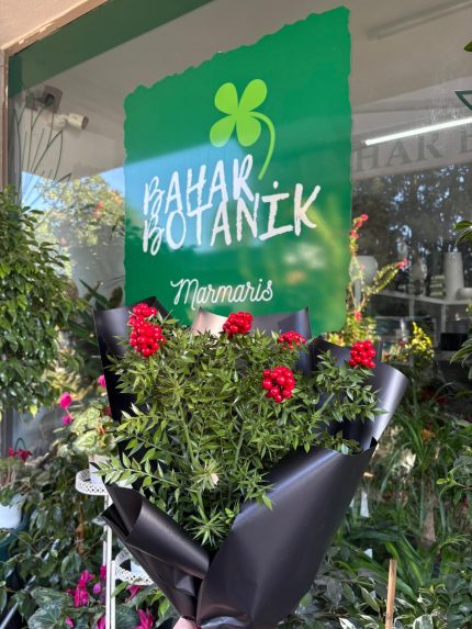 kokina buketi 6 dal 1 demet