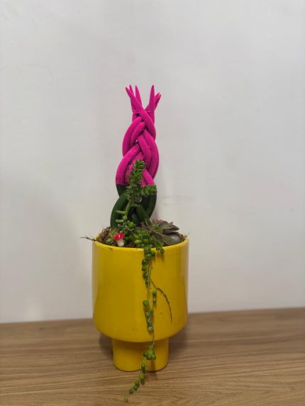 Karışık kaktüs-sukulent aranjman (sarı seramik saksılı)