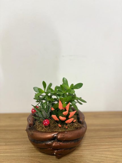 Karışık kaktüs-sukulent aranjmanı (el şeklinde seramik saksılı)