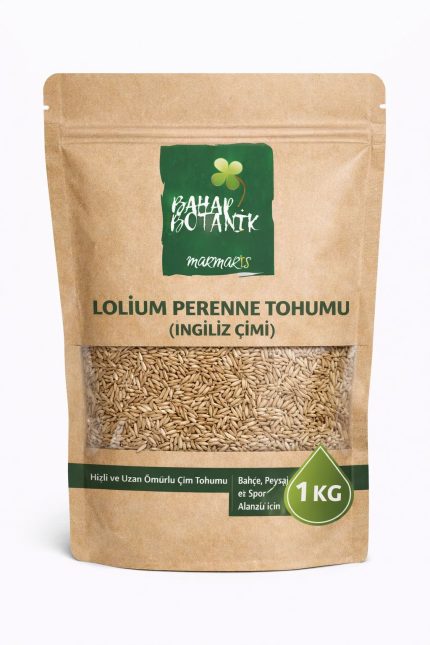 Lolium perenne (İngiliz çimi) Tohumu 1 Kg