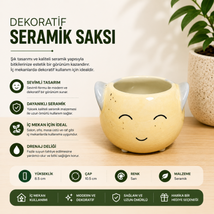 Sevimli Gülen Yüz Seramik Saksı